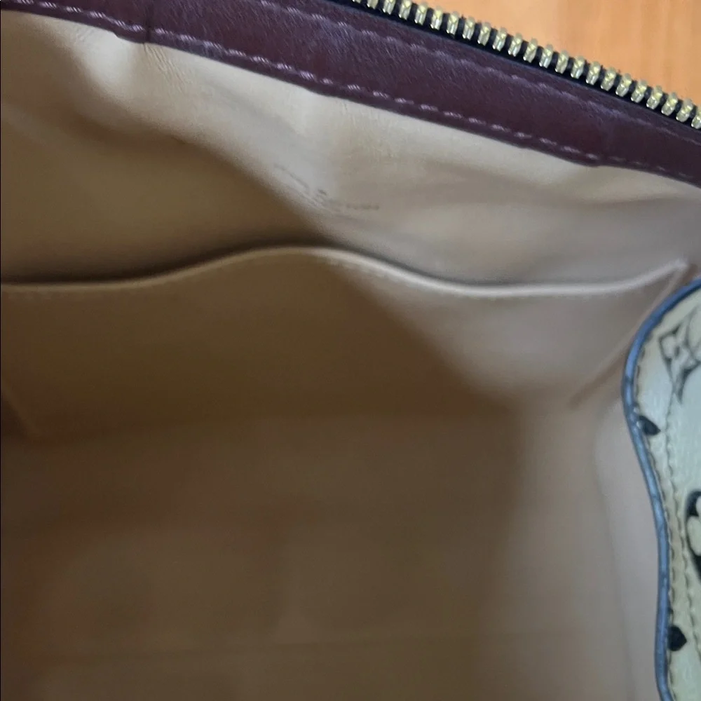 Louis Vuitton Limited Edition Cream and Brown Monogram Crossbody Bag - Picture 10 of 13
